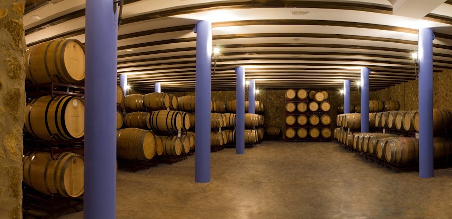 Bodegas Toribio (Viña Puebla)