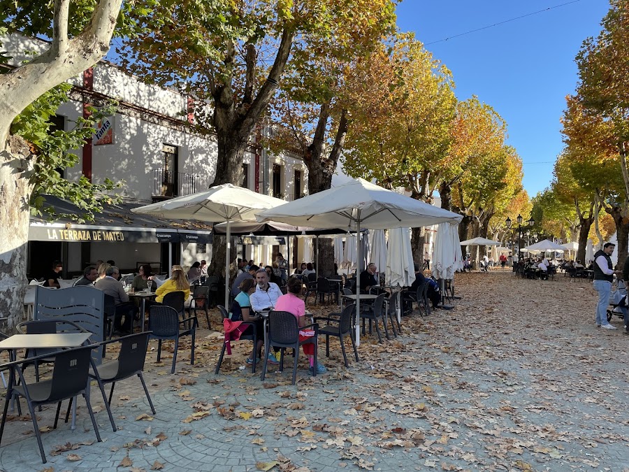 La Terraza de Mateo